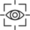 Vision Icon